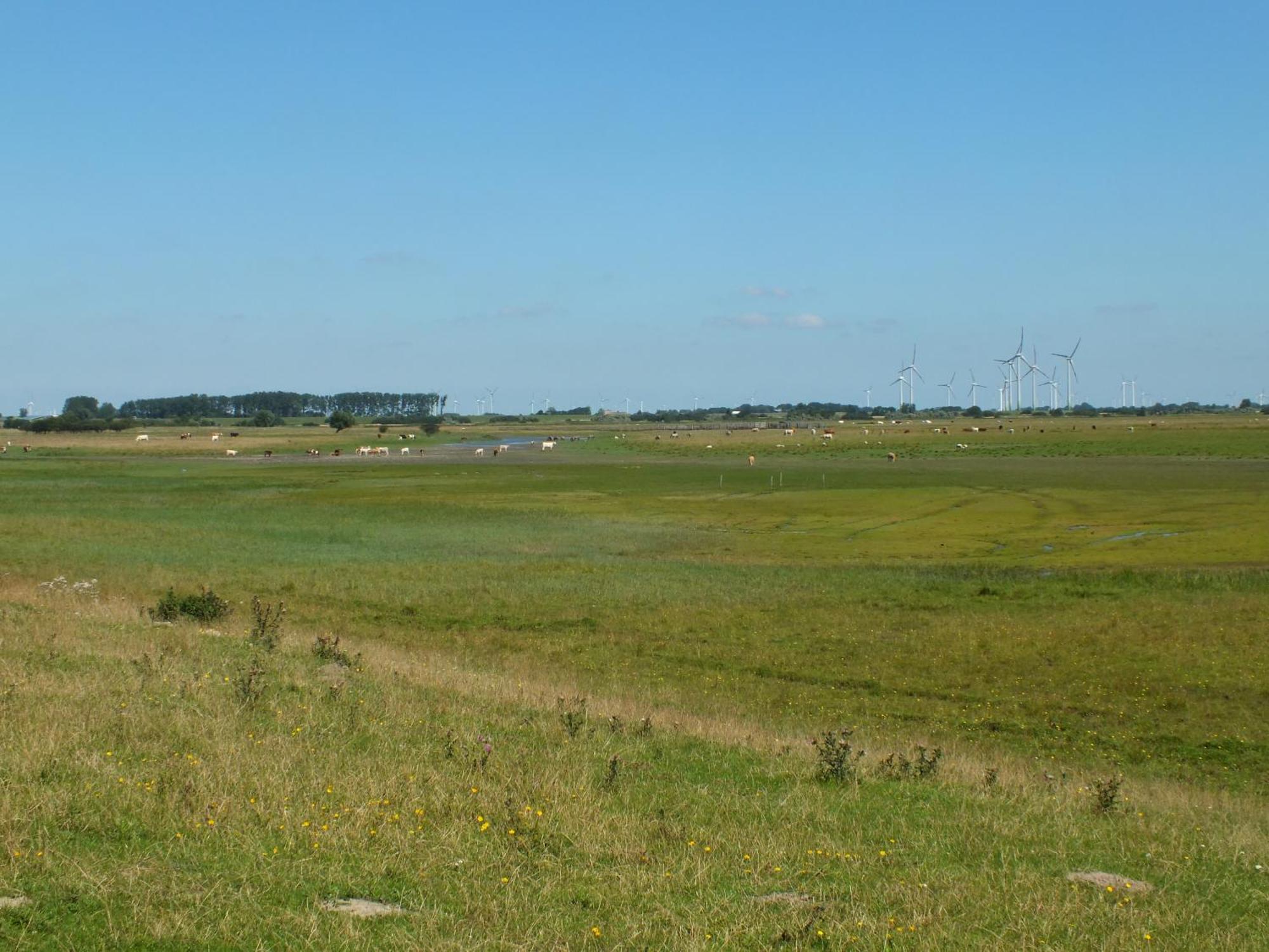 Ferienwohnung In Osterdeichstrich Oesterdeichstrich 外观 照片